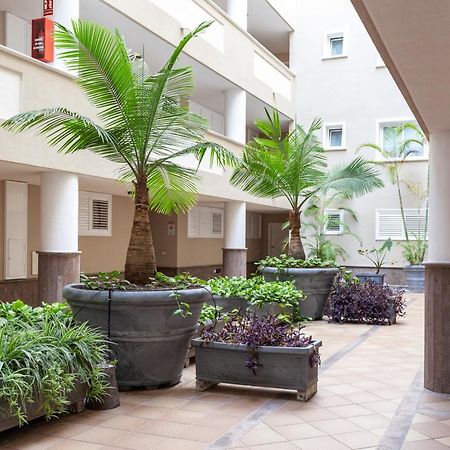 Apartamento Ocean View Puerto de Santiago  Exterior photo